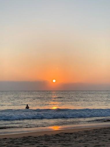 Kranti Yoga Tradition - Beach Resort Patnem Beach Ngoại thất bức ảnh